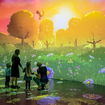 PIXERA Key to Belgium’s First Immersive AV Attraction