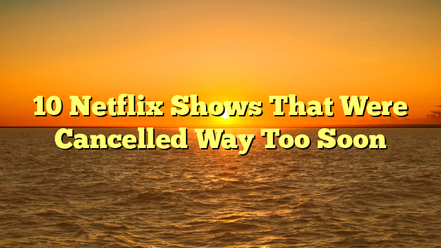 10 Netflix Shows That Were Cancelled Way Too Soon