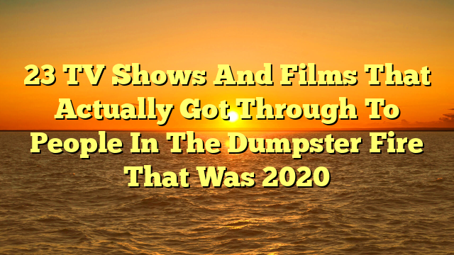 23 TV Shows And Films That Actually Got Through To People In The Dumpster Fire That Was 2020