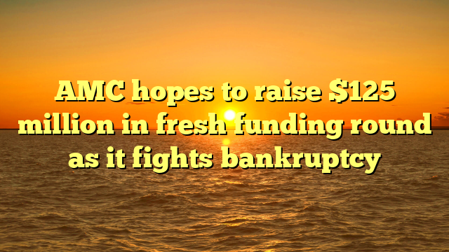 AMC hopes to raise $125 million in fresh funding round as it fights bankruptcy