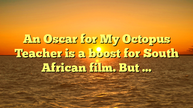 An Oscar for My Octopus Teacher is a boost for South African film. But …