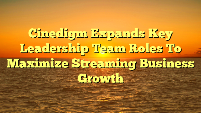 Cinedigm Expands Key Leadership Team Roles To Maximize Streaming Business Growth