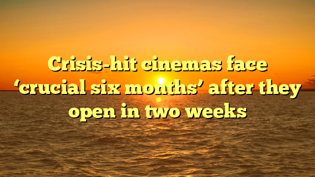 Crisis-hit cinemas face ‘crucial six months’ after they open in two weeks