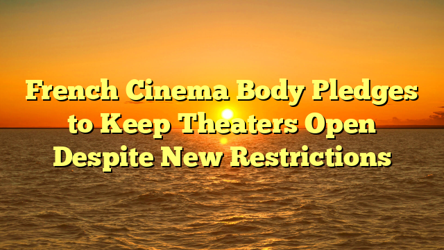 French Cinema Body Pledges to Keep Theaters Open Despite New Restrictions