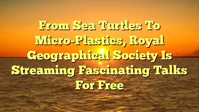 From Sea Turtles To Micro-Plastics, Royal Geographical Society Is Streaming Fascinating Talks For Free