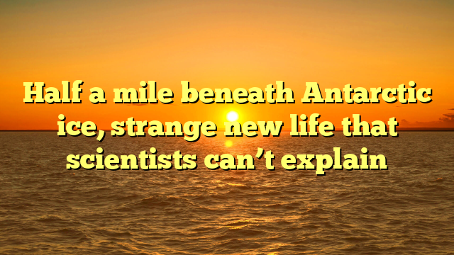 Half a mile beneath Antarctic ice, strange new life that scientists can’t explain