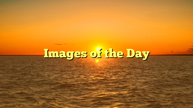 Images of the Day