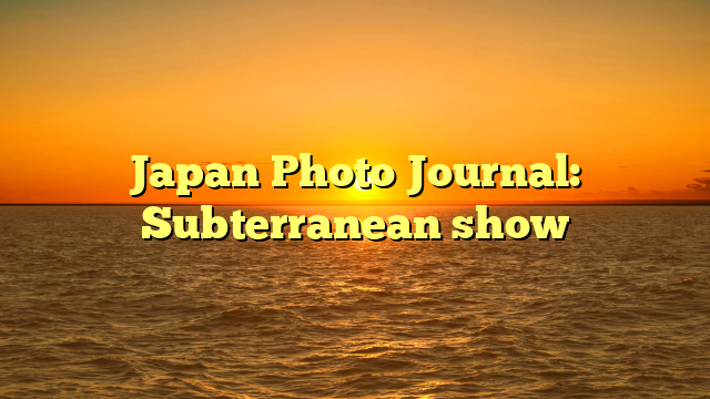 Japan Photo Journal: Subterranean show