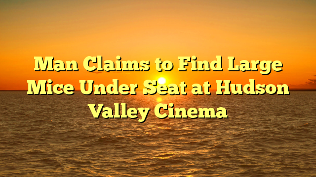 Man Claims to Find Large Mice Under Seat at Hudson Valley Cinema