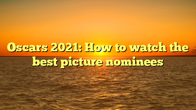 Oscars 2021: How to watch the best picture nominees