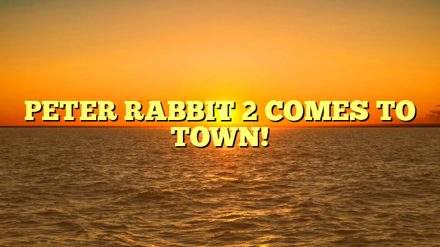 PETER RABBIT 2 COMES TO TOWN!