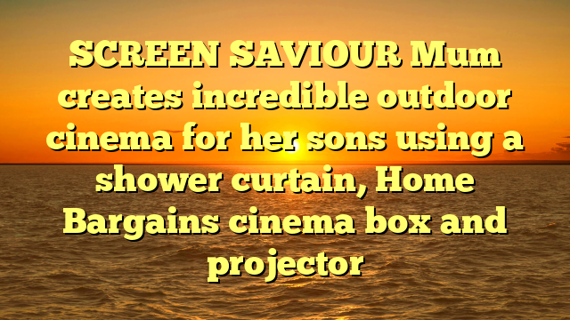SCREEN SAVIOUR Mum creates incredible outdoor cinema for her sons using a shower curtain, Home Bargains cinema box and projector