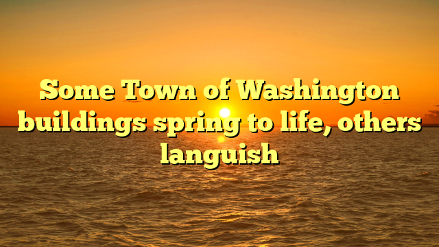 Some Town of Washington buildings spring to life, others languish