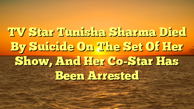 TV Star Tunisha Sharma Died By Suicide On The Set Of Her Show, And Her Co-Star Has Been Arrested