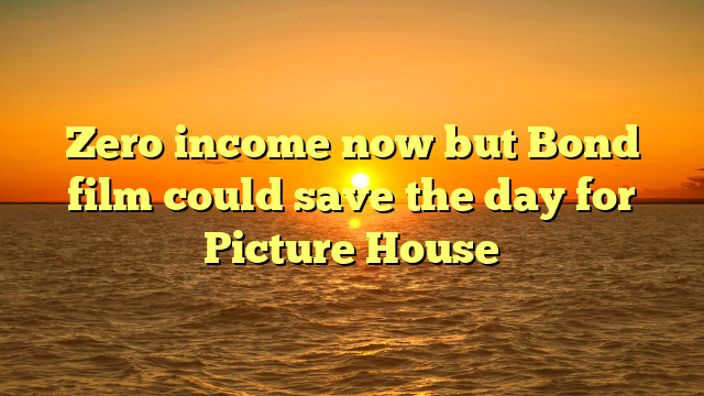 Zero income now but Bond film could save the day for Picture House